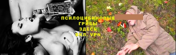 МДПВ Верхний Тагил